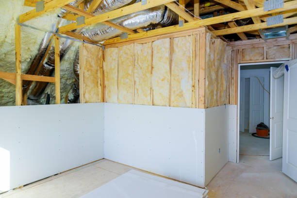 Best Residential Insulation in La Plata, MO