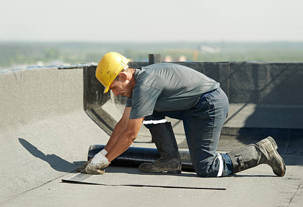 Best Insulation Maintenance and Repair in La Plata, MO