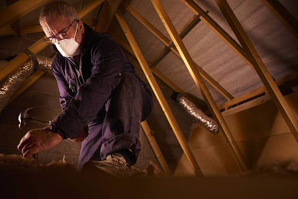 Best Insulation for Specific Applications in La Plata, MO